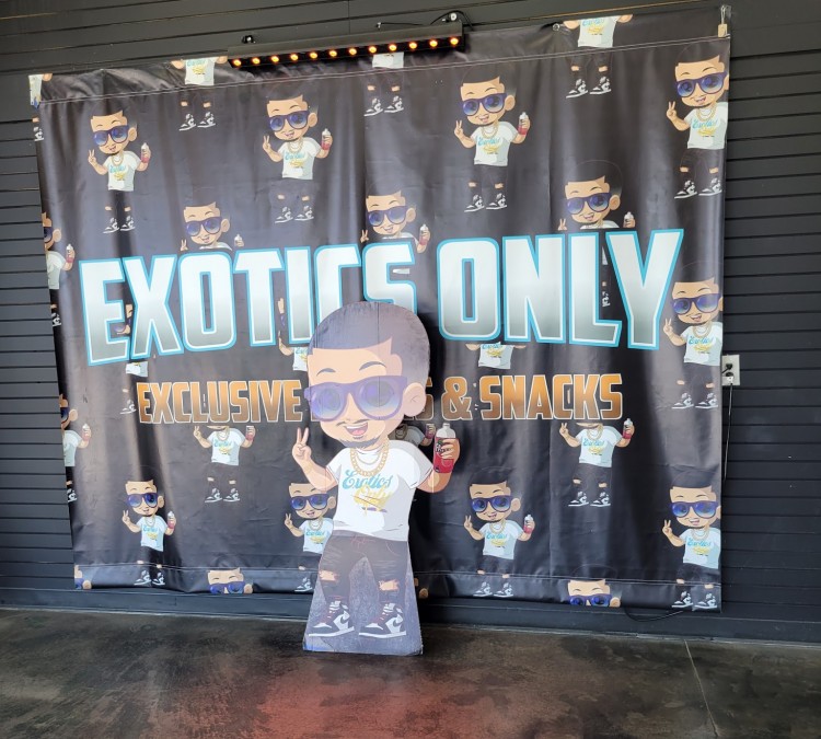 Exotics Only (South&nbspGate,&nbspCA)